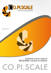 CAT. 10/16 - Co.Pi Scale