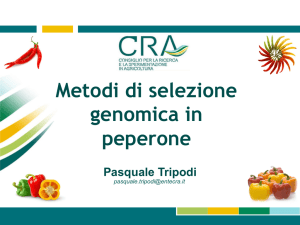 Metodi di selezione genomica in peperone