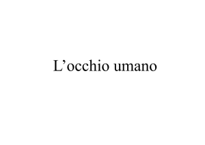 10_OCCHIO UMANO