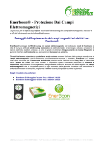 Enerboon® - Protezione Dai Campi Elettromagnetici