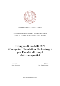 Sviluppo di modelli CST (Computer Simulation Technology) per l