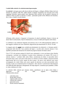 I calcoli della colecisti e la colecistectomia laparoscopica La