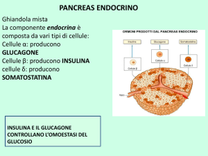 Lezione Fisiologia Farmacia