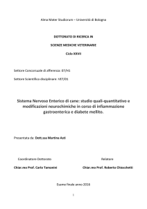 Sistema Nervoso Enterico di cane: studio quali