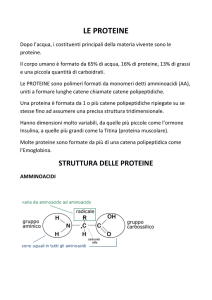 le proteine - Istituto Garcia Marquez