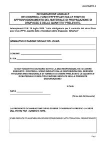 Versione pdf - Regione Piemonte