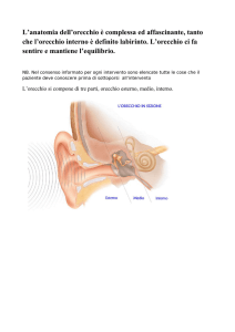 Meniere`s Disease