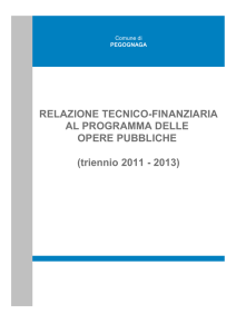 RELAZIONE TECNICO-FINANZIARIA AL PROGRAMMA DELLE