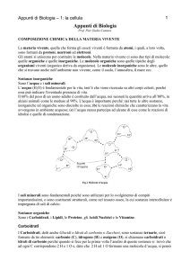 Appunti di Biologia