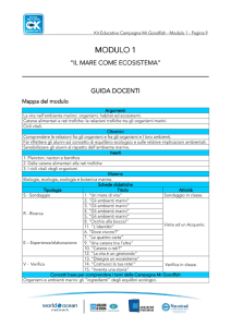 modulo 1 - Mr. Goodfish