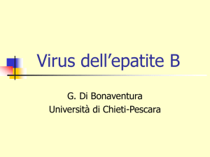 HBV - UniCH