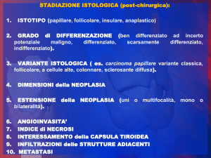 Diapositiva 1 - endocrinologia moretti