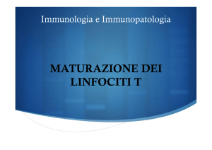 Maturazione linfociti T