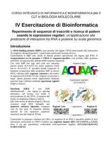 guida - Unipd