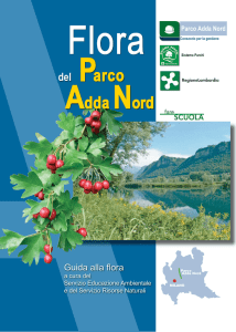 Adda Nord - Provincia di Bergamo