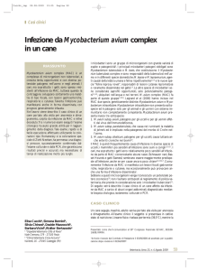 Infezione da Mycobacterium avium complex in un cane