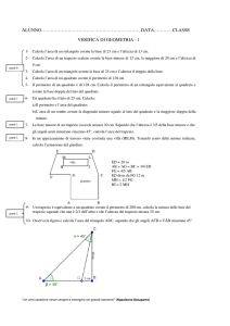 Verifica di Geometria 24/01/2012