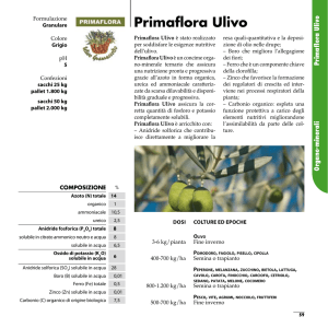 Primaflora Ulivo