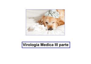 Virologia Medica III