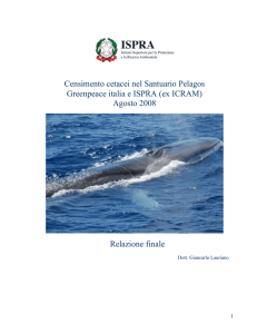 Censimento cetacei nel Santuario Pelagos Greenpeace italia e