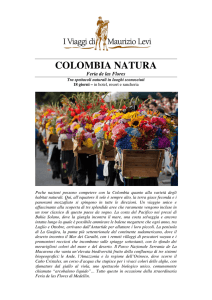 COLOMBIA NATURA - I Viaggi di Maurizio Levi