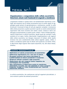 1- Quiz Biologo n.7 temi