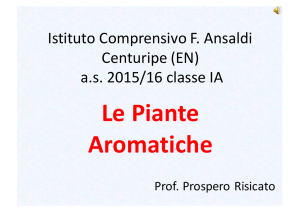 Le Piante Aromatiche - Istituto Comprensivo "F. Ansaldi"