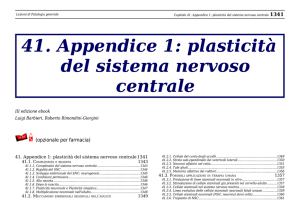 A ppendice 1: plasticità del sistema nervoso centrale