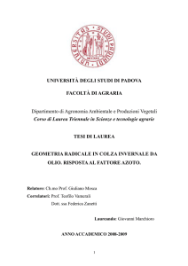 Documento PDF - Padua@Thesis