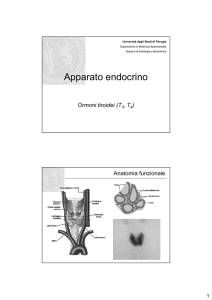 Gri 35) Endocrino 3 - Tiroide