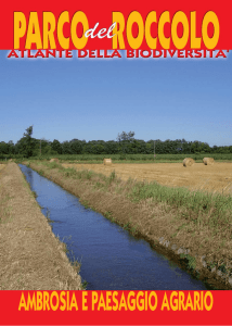 Ambrosia e Paesaggio Agrario