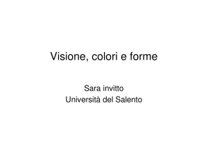 Visione, colori e forme - Università del Salento