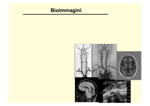 l01_introduzione alle bioimmagini