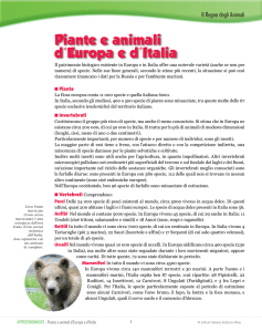 Piante e animali d`Europa e d`Italia
