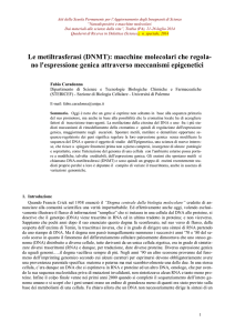 Le metiltrasferasi (DNMT): macchine molecolari che