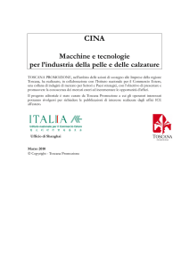 Rapporto Macchine pelle e calzature 2010