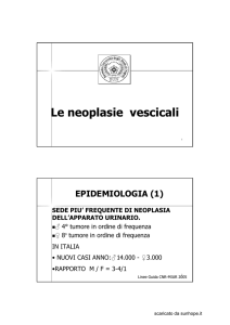 Le neoplasie vescicali