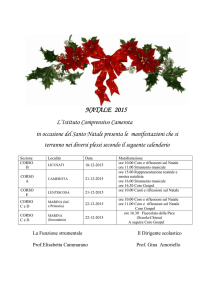 Manifestazioni Natale