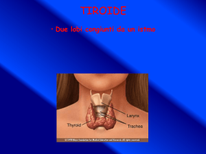 Tiroide - Sito dei docenti di Unife
