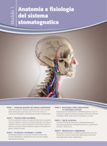 Anatomia e fisiologia del sistema stomatognatico