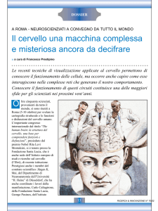 Il cervello una macchina complessa e misteriosa