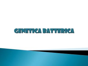 10-Batter gen (Genetica)