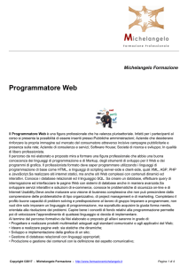 Programmatore Web - Michelangelo Formazione