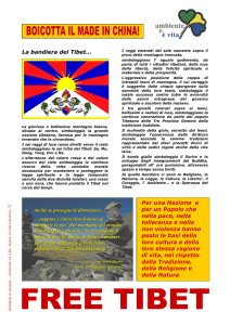 La bandiera del Tibet…