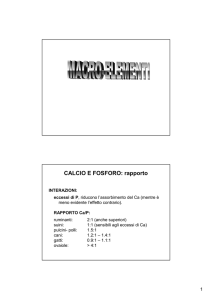 CALCIO E FOSFORO: rapporto - e
