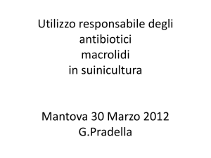 Utilizzo degli antibiotici macrolidi in suinicultura Mantova 30 Marzo