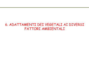 Lez6_Disponibilità di acqua_Adattamento vegetali all`ambiente2015