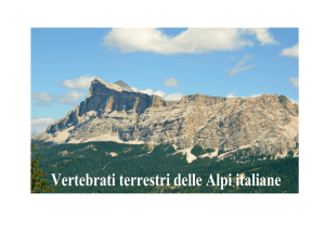 Vertebrati terrestri delle Alpi italiane