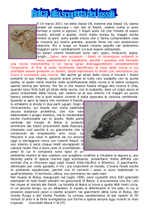 Bolca, alla scoperta dei fossili. a cura di S. Andreoli – I.S. I.Piana di