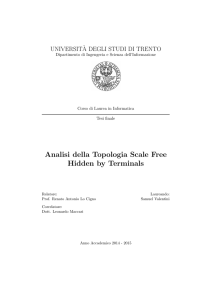 Analisi della Topologia Scale Free Hidden by Terminals